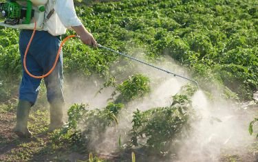 Agro Chemicals